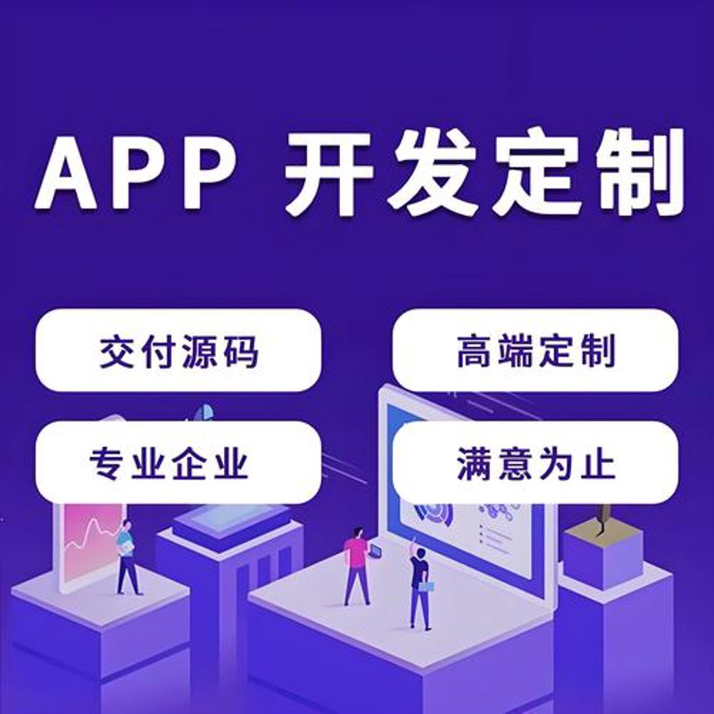 管理软件开发
